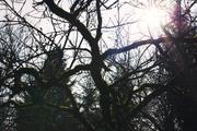 ../galleries/2019.03.23_Hoher_Meissner/DSC_0918.thumbnail.jpg