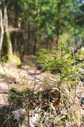 ../galleries/2019.03.23_Hoher_Meissner/DSC_0930.thumbnail.jpg