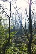 ../galleries/2019.03.23_Hoher_Meissner/DSC_0931.thumbnail.jpg