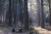 ../galleries/2019.03.23_Hoher_Meissner/DSC_0949.thumbnail.jpg