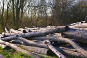 ../galleries/2019.03.29_Spaziergang_Weende/DSC_0984.thumbnail.jpg