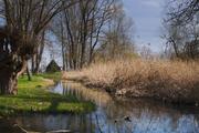 ../galleries/2019.03.30_Spaziergang_Seeburger_See/DSC_0991.thumbnail.jpg