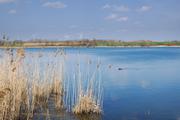 ../galleries/2019.03.30_Spaziergang_Seeburger_See/DSC_0993.thumbnail.jpg