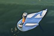 ../galleries/2019.03.30_Spaziergang_Seeburger_See/DSC_1005.thumbnail.jpg