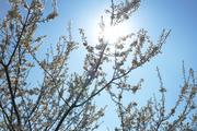 ../galleries/2019.03.30_Spaziergang_Seeburger_See/DSC_1024.thumbnail.jpg