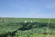 ../galleries/2019.03.30_Spaziergang_Seeburger_See/DSC_1028.thumbnail.jpg