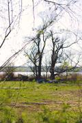../galleries/2019.03.30_Spaziergang_Seeburger_See/DSC_1030.thumbnail.jpg