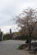 ../galleries/2019.04.03_Kirschblüte_am_Z-Campus/DSC_1088.thumbnail.jpg