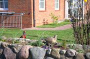 ../galleries/2019.04.16_Amrum_-_Tag_1/DSC_1911.thumbnail.jpg