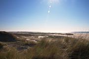 ../galleries/2019.04.16_Amrum_-_Tag_1/DSC_1924.thumbnail.jpg