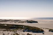 ../galleries/2019.04.16_Amrum_-_Tag_1/DSC_1926.thumbnail.jpg
