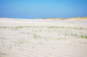../galleries/2019.04.16_Amrum_-_Tag_1/DSC_1937.thumbnail.jpg