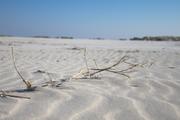 ../galleries/2019.04.16_Amrum_-_Tag_1/DSC_2001.thumbnail.jpg