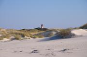 ../galleries/2019.04.16_Amrum_-_Tag_1/DSC_2003.thumbnail.jpg