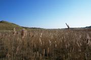 ../galleries/2019.04.16_Amrum_-_Tag_1/DSC_2009.thumbnail.jpg