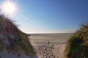../galleries/2019.04.16_Amrum_-_Tag_1/DSC_2019.thumbnail.jpg