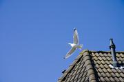 ../galleries/2019.04.17_Amrum_-_Tag_2/DSC_2023.thumbnail.jpg