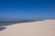 ../galleries/2019.04.17_Amrum_-_Tag_2/DSC_2083.thumbnail.jpg