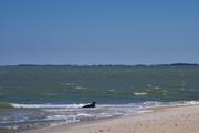 ../galleries/2019.04.17_Amrum_-_Tag_2/DSC_2089.thumbnail.jpg