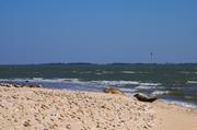 ../galleries/2019.04.17_Amrum_-_Tag_2/DSC_2181.thumbnail.jpg