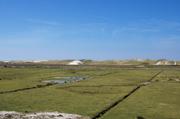 ../galleries/2019.04.17_Amrum_-_Tag_2/DSC_2226.thumbnail.jpg