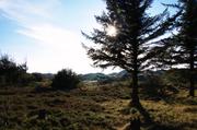 ../galleries/2019.04.17_Amrum_-_Tag_2/DSC_2265.thumbnail.jpg