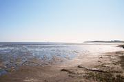 ../galleries/2019.04.18_Amrum_-_Tag_3/DSC_2374.thumbnail.jpg