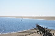 ../galleries/2019.04.18_Amrum_-_Tag_3/DSC_2398.thumbnail.jpg