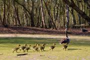 ../galleries/2019.04.19_Amrum_-_Tag_4/DSC_2484.thumbnail.jpg