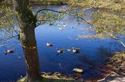 ../galleries/2019.04.19_Amrum_-_Tag_4/DSC_2492.thumbnail.jpg