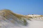 ../galleries/2019.04.19_Amrum_-_Tag_4/DSC_2548.thumbnail.jpg