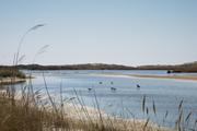 ../galleries/2019.04.19_Amrum_-_Tag_4/DSC_2552.thumbnail.jpg