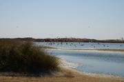 ../galleries/2019.04.19_Amrum_-_Tag_4/DSC_2571.thumbnail.jpg