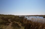 ../galleries/2019.04.19_Amrum_-_Tag_4/DSC_2612.thumbnail.jpg