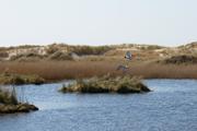 ../galleries/2019.04.19_Amrum_-_Tag_4/DSC_2619.thumbnail.jpg