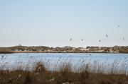../galleries/2019.04.19_Amrum_-_Tag_4/DSC_2635.thumbnail.jpg
