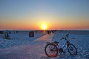 ../galleries/2019.04.19_Amrum_-_Tag_4/DSC_2653.thumbnail.jpg
