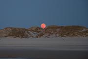 ../galleries/2019.04.19_Amrum_-_Tag_4/DSC_2763.thumbnail.jpg
