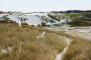 ../galleries/2019.04.20_Amrum_-_Tag_5/DSC_2784.thumbnail.jpg
