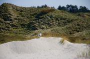 ../galleries/2019.04.20_Amrum_-_Tag_5/DSC_2810.thumbnail.jpg