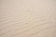 ../galleries/2019.04.20_Amrum_-_Tag_5/DSC_2845.thumbnail.jpg