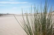 ../galleries/2019.04.20_Amrum_-_Tag_5/DSC_2847.thumbnail.jpg