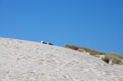 ../galleries/2019.04.20_Amrum_-_Tag_5/DSC_2866.thumbnail.jpg