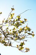 ../galleries/2019.04.21_Amrum_-_Tag_6/DSC_2905.thumbnail.jpg