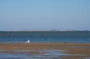 ../galleries/2019.04.22_Amrum_-_Tag_7/DSC_2931.thumbnail.jpg