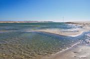 ../galleries/2019.04.22_Amrum_-_Tag_7/DSC_2946.thumbnail.jpg