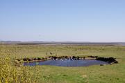 ../galleries/2019.04.22_Amrum_-_Tag_7/DSC_2981.thumbnail.jpg
