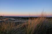 ../galleries/2019.04.22_Amrum_-_Tag_7/DSC_2993.thumbnail.jpg