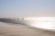 ../galleries/2019.04.23_Amrum_-_Tag_8/DSC_3102.thumbnail.jpg