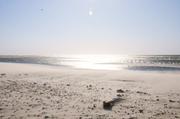 ../galleries/2019.04.23_Amrum_-_Tag_8/DSC_3111.thumbnail.jpg